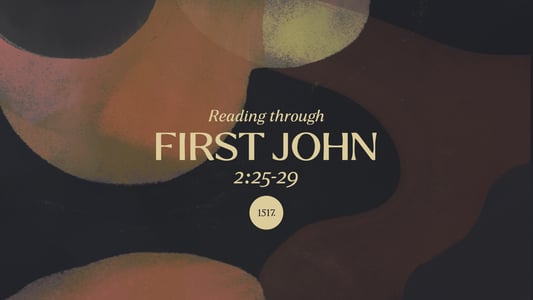 1 John 2:25-29: The Promise He Made to Us