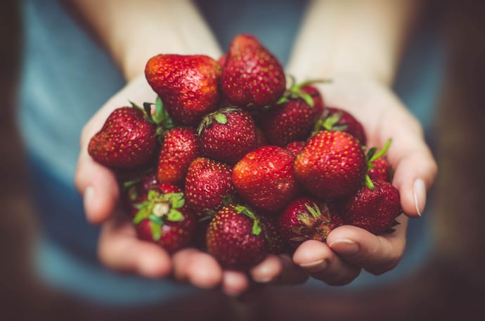 Food Seasons and the Christian Calendar