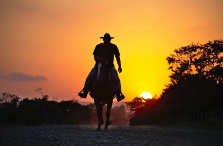 Did God Have Something Against Cowboys? Biblical Warnings about Trust in Horses