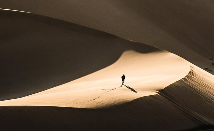 Seeking the Lost