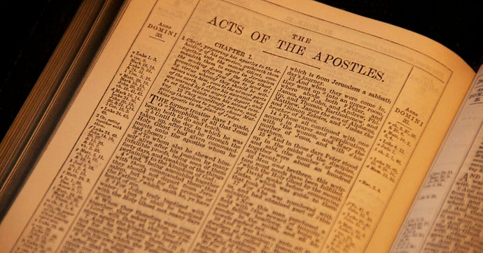 New Testament: Acts 5:29-42 (Easter 2: Series A)