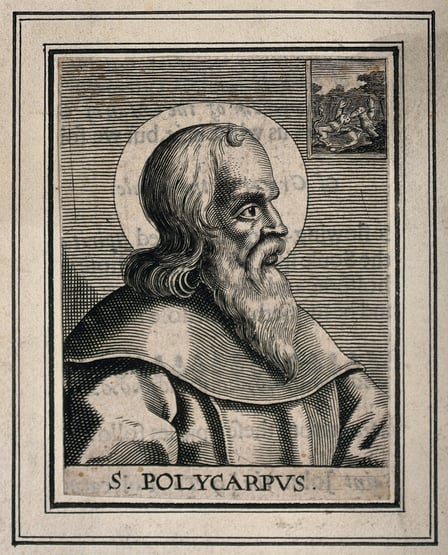 The Fruitful Witness of St. Polycarp