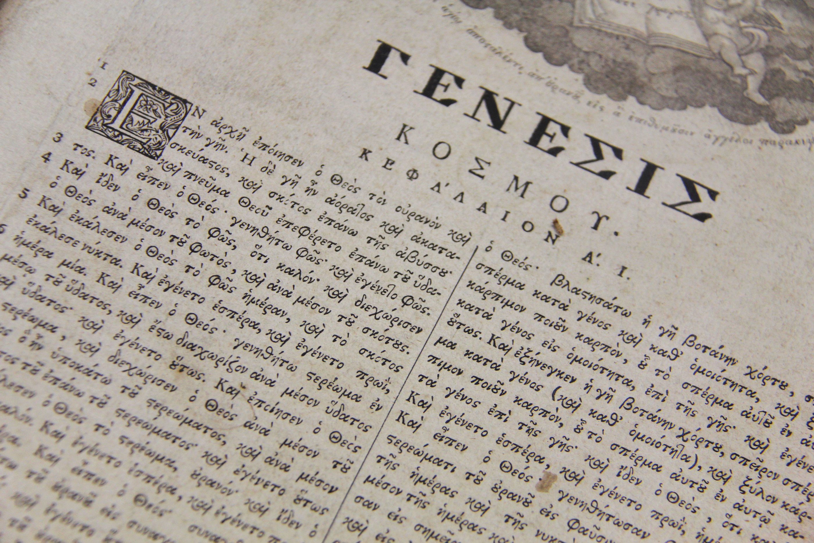 Old Testament: Genesis 50:15-21 (Pentecost 15: Series A)