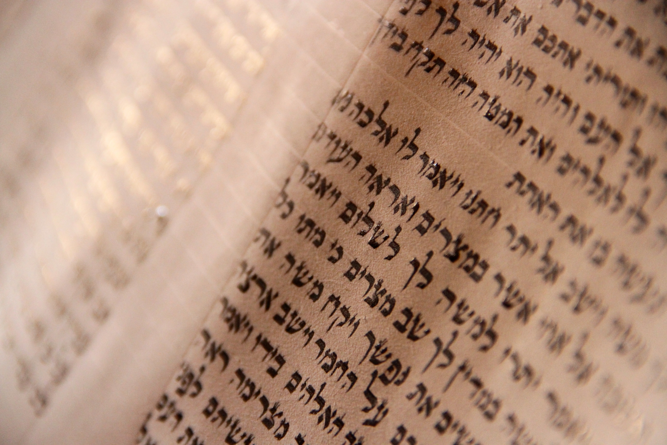 Old Testament: Leviticus 19:1-2, 15-18 (Pentecost 21: Series A)