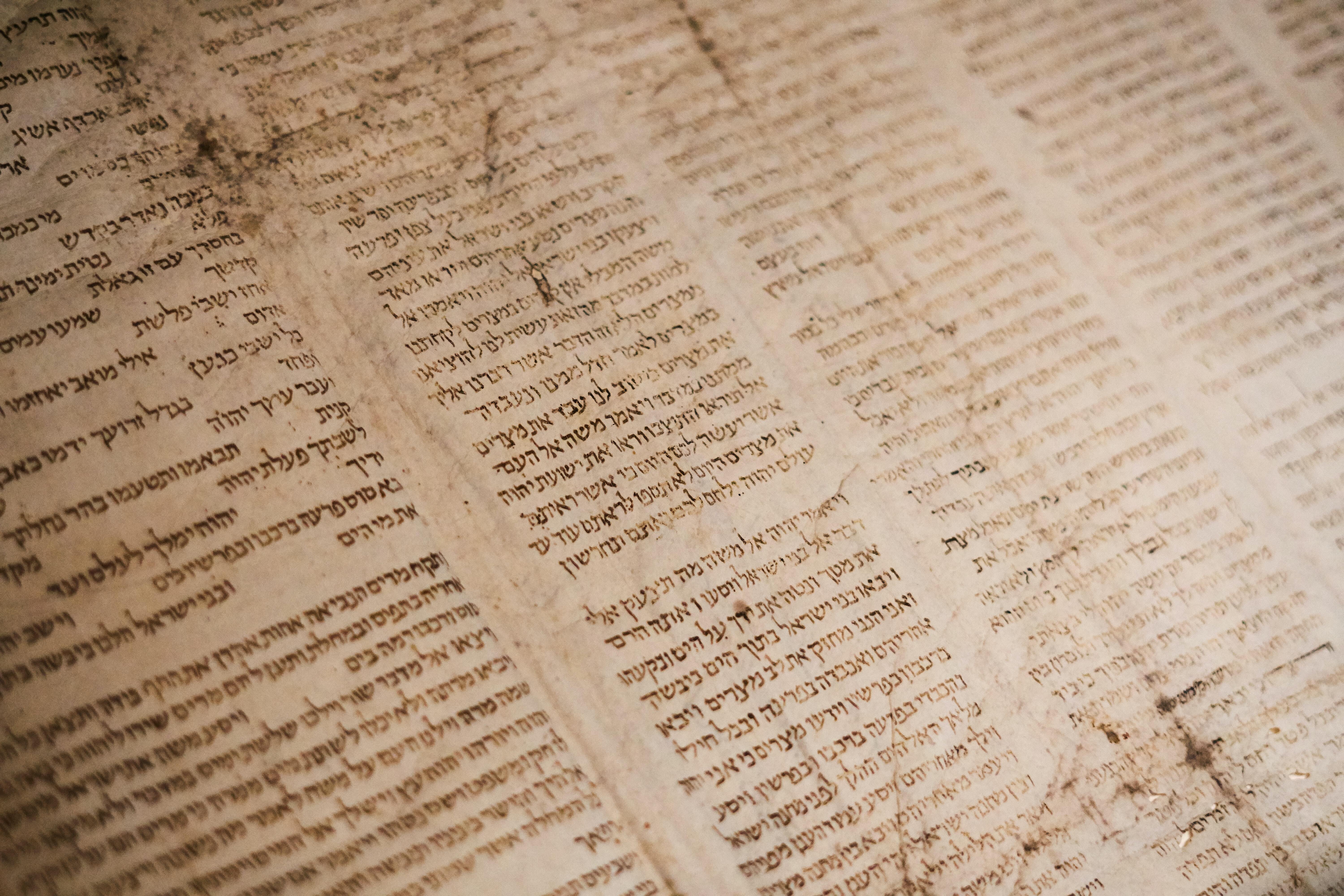 Old Testament: Jeremiah 28:5-9 (Pentecost 4: Series A)